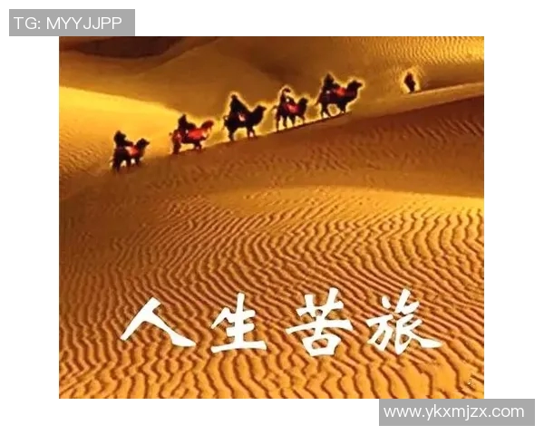 张秀英的极限运动人生探索与挑战的深度对话之旅