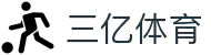 三亿(集团)体育科技有限公司官网
